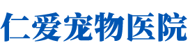 岳阳楼区仁爱宠物医院_岳阳宠物护理|医疗|宠物用品销售