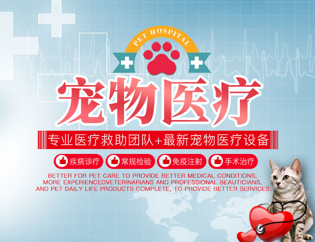 岳阳楼区仁爱宠物医院_岳阳宠物护理|医疗|宠物用品销售