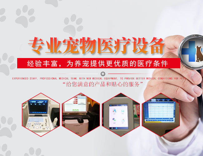 岳阳楼区仁爱宠物医院_岳阳宠物护理|医疗|宠物用品销售