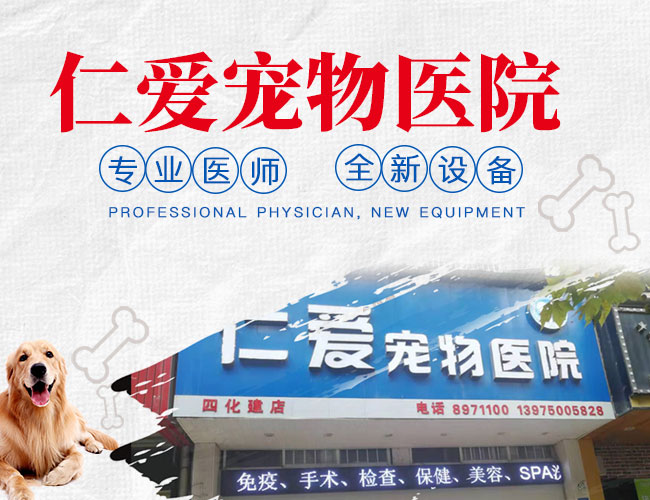 岳阳楼区仁爱宠物医院_岳阳宠物护理|医疗|宠物用品销售